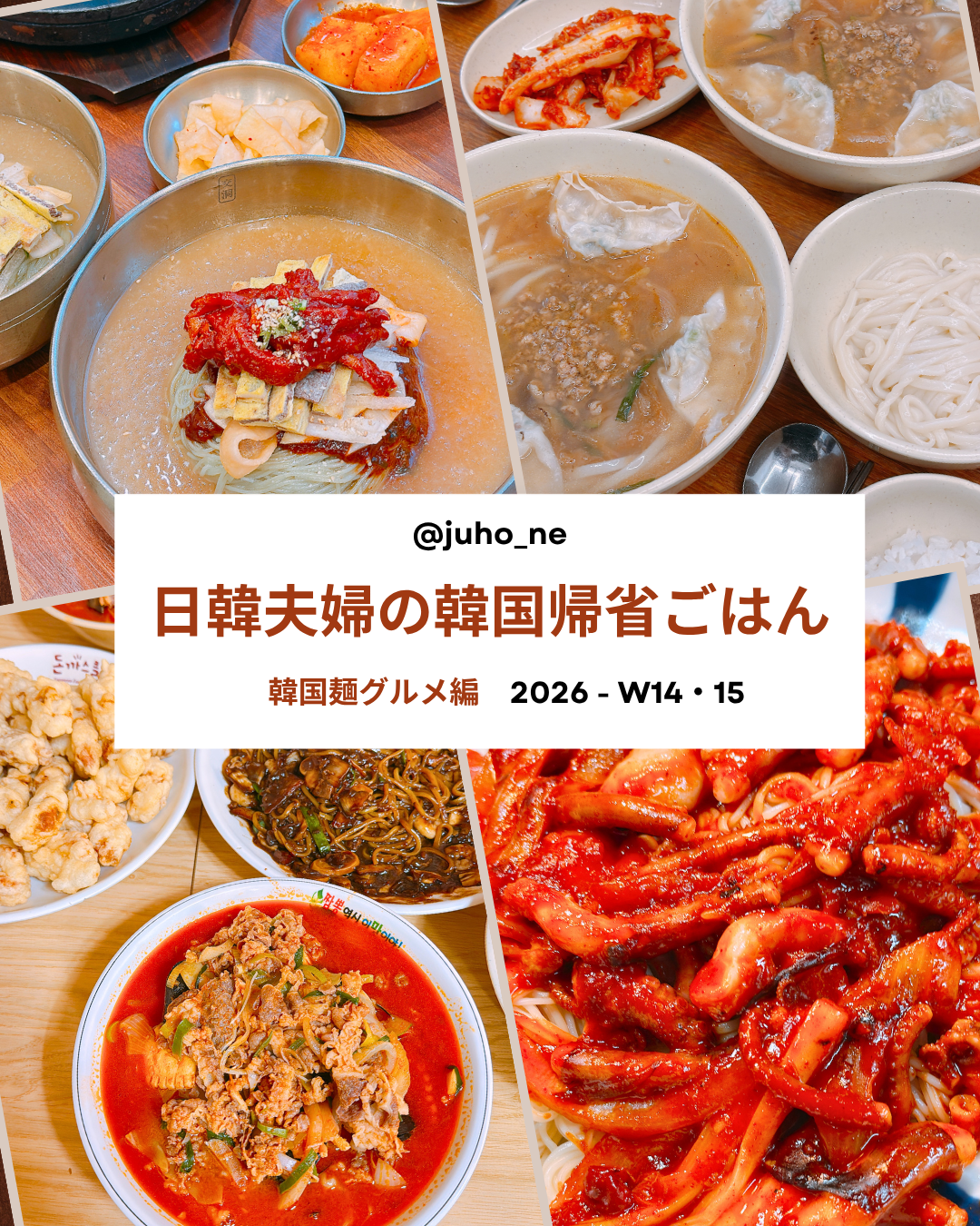 日韓夫婦JUHOLYの韓国帰省麺グルメ｜冷麺・カルグクス・チャンポン